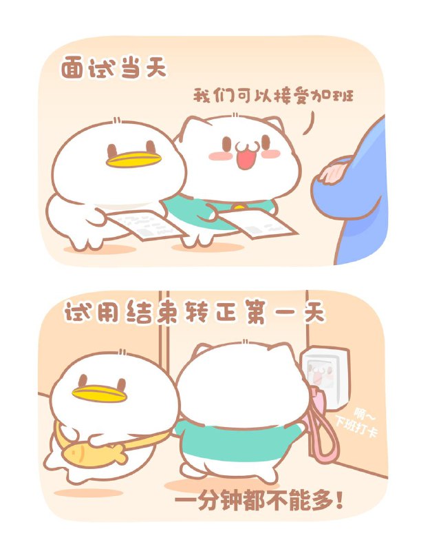 from 404 Information