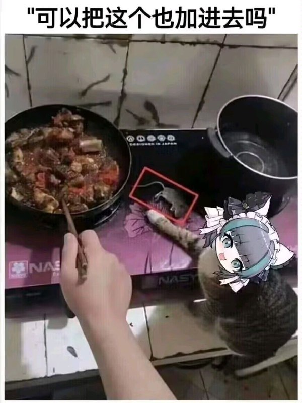 from rvalue的生草日常