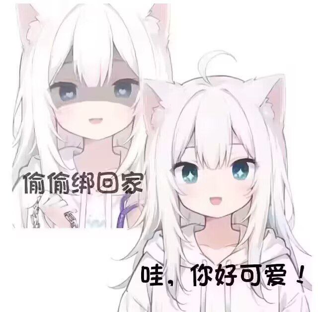 from 猫猫窝🐱
