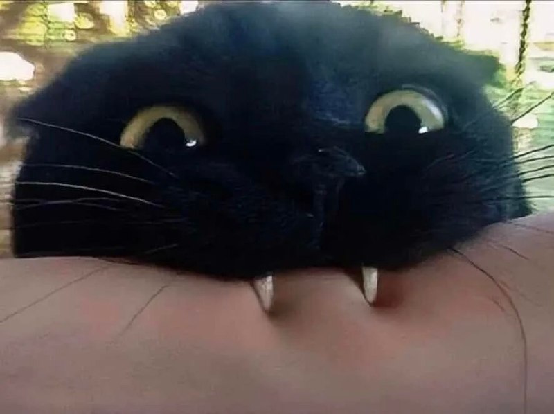 via 8号沙雕网友via 8号沙雕网友