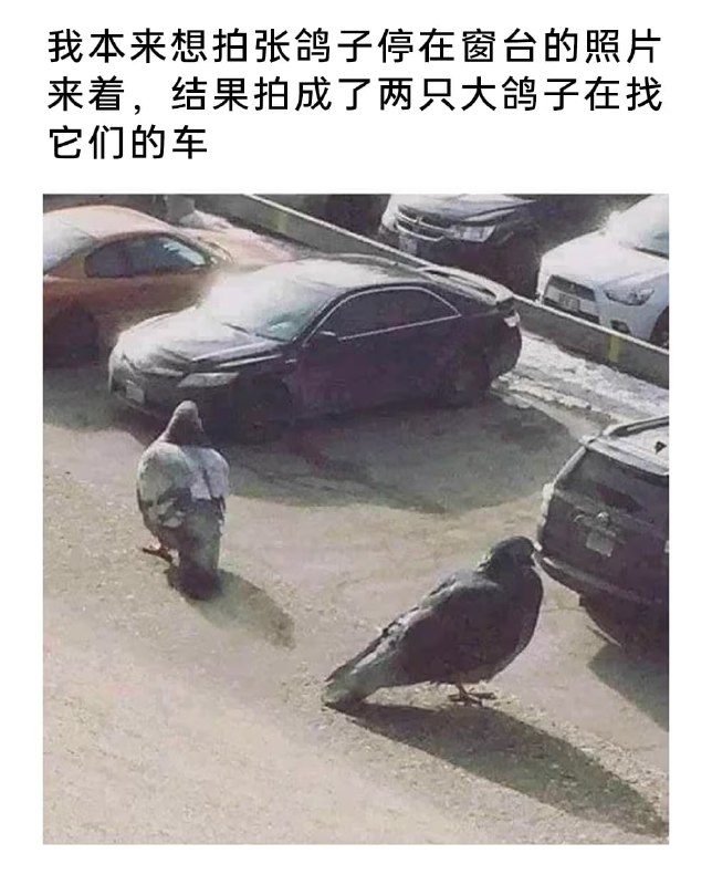 via 7号沙雕网友