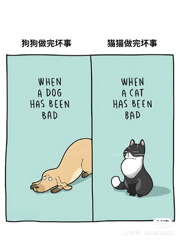via N&M WANGvia N&M WANG