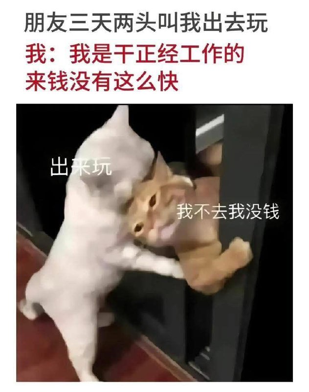 from 什麼都來點 via DECADE