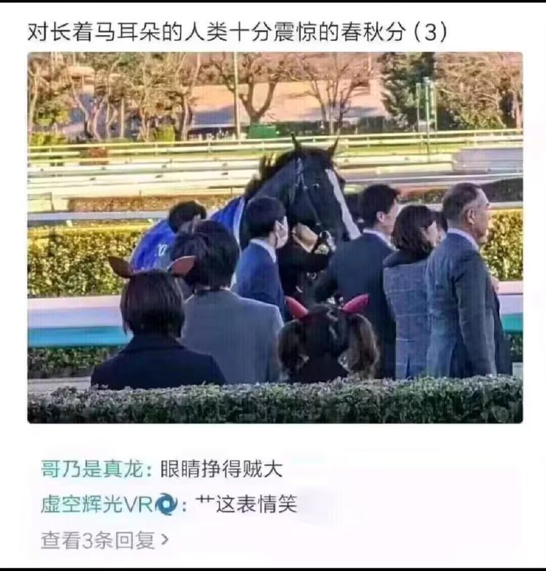 via 7号沙雕网友