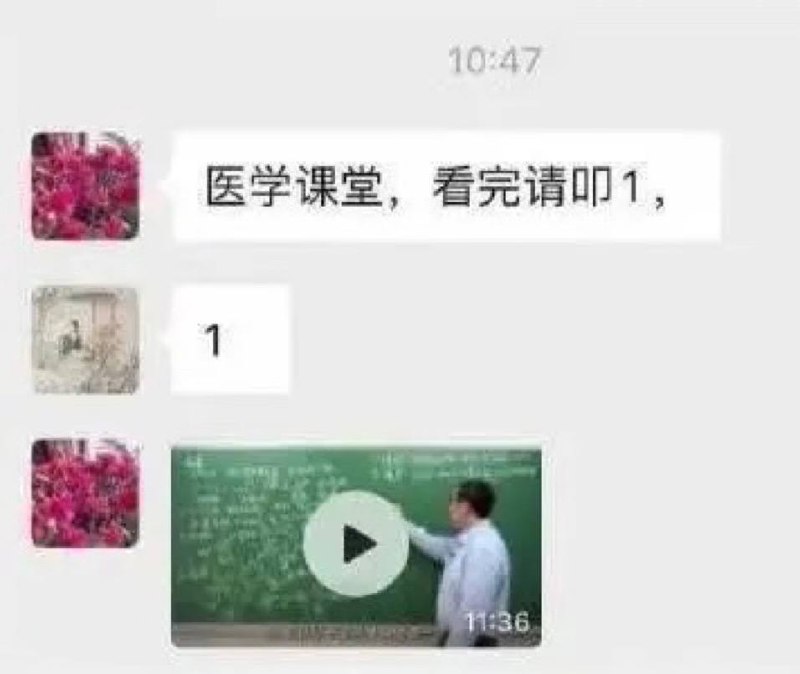 from HK CIA GOMA (灰灰)
