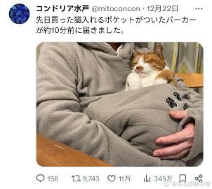 袋鼠×袋猫✓袋鼠×袋猫✓