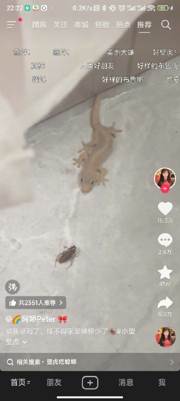 from ㅤ SpongeBob 绵鸣 Ⓥ审核注