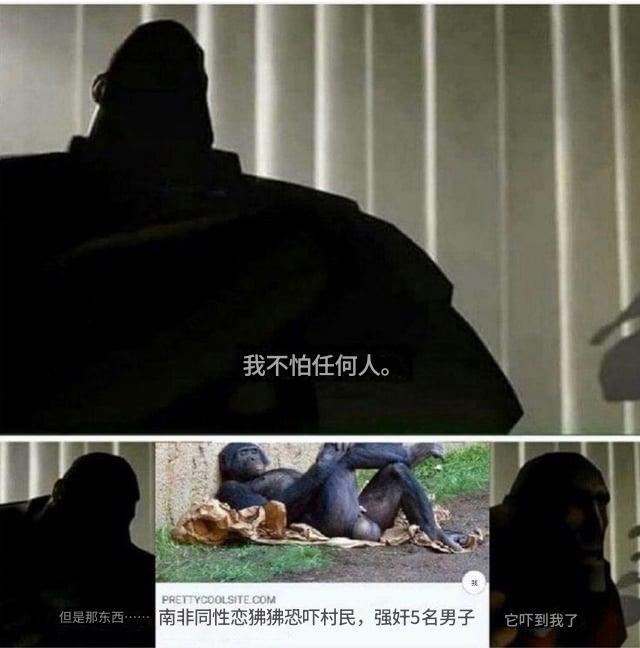 😨from 什麼都來點 via DECADE
