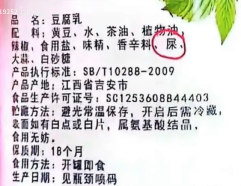 👀from 平壤卫视