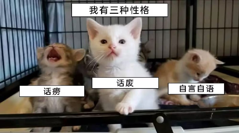 via 6号沙雕网友