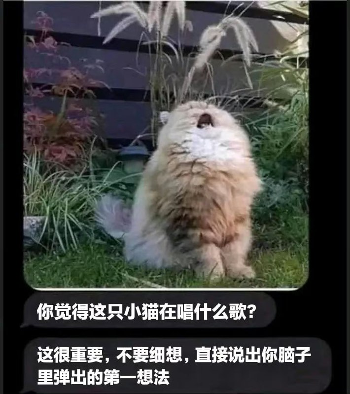 via Gary です