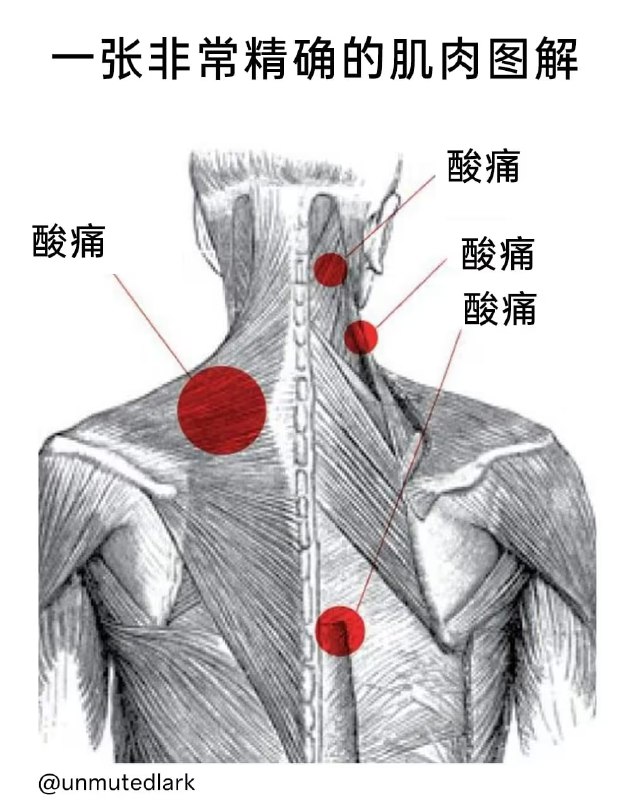 via 6号沙雕网友
