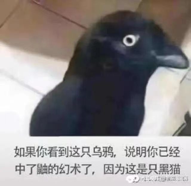 via Hua Hua