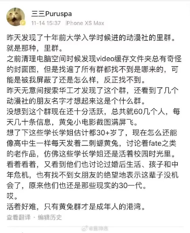 from 猫猫窝🐱