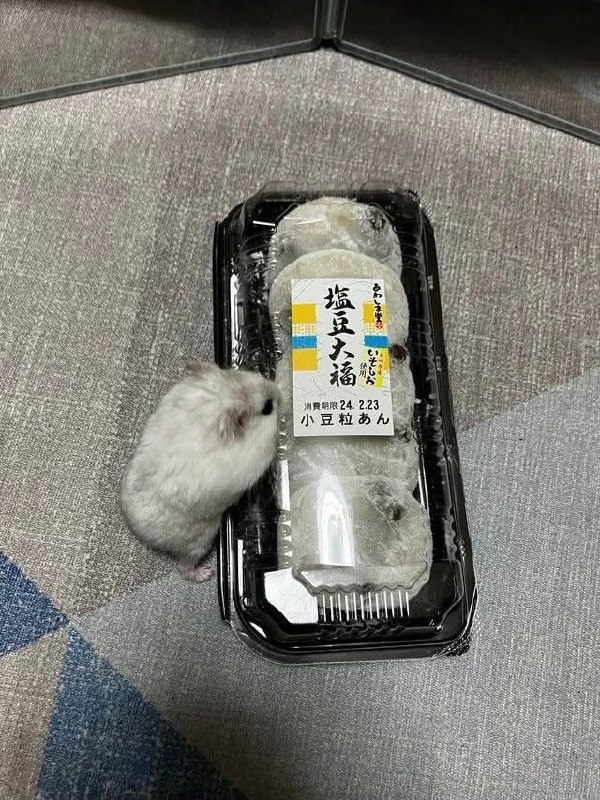 兄弟們等會 我來救你們from 友善迷因群
