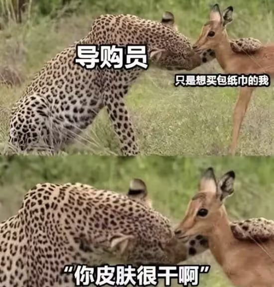 via 7号沙雕网友