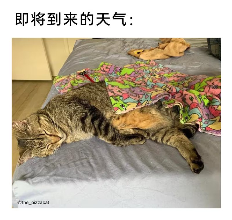 via 7号沙雕网友