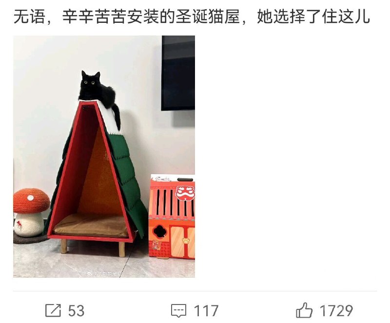 from TG空间🐈