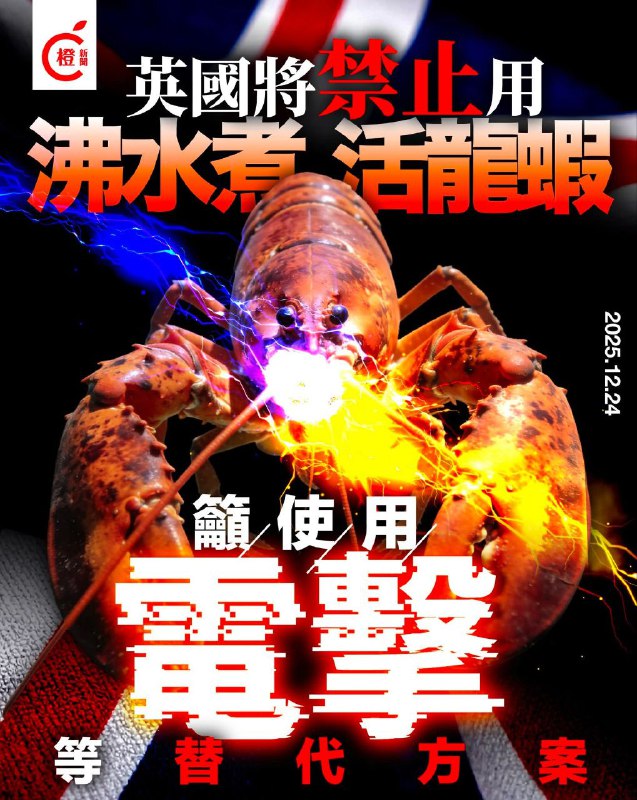 ？from 什麼都來點 via DECADE