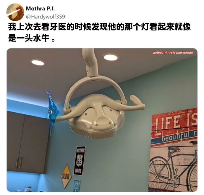 每生产一个无影灯就有一头水牛失去脑袋，珍爱生命，远离无影灯，没有买卖……
