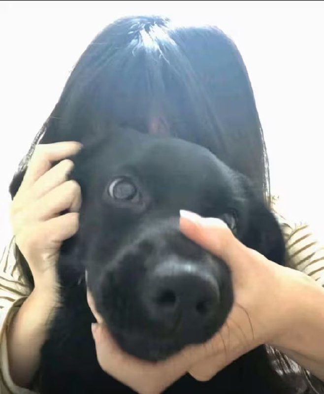 via 7号沙雕网友