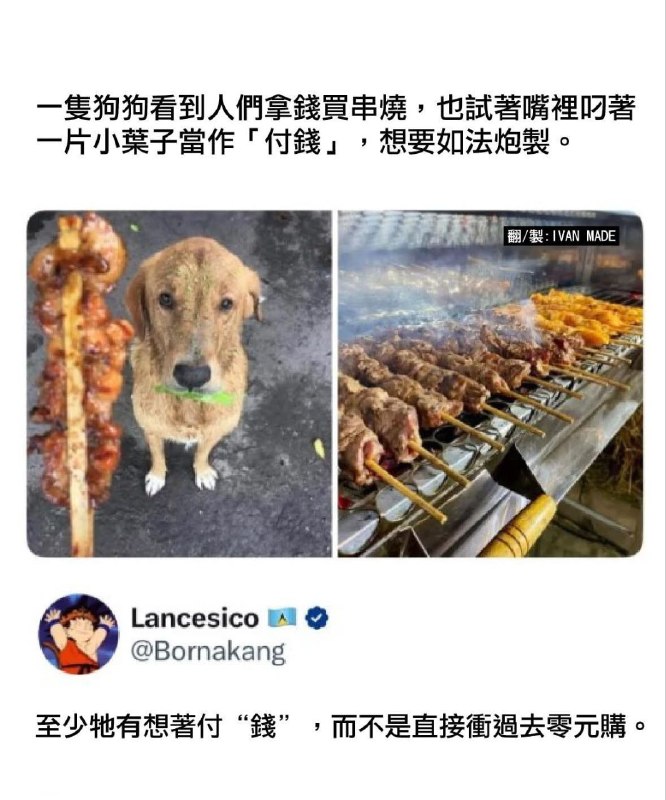 from 什麼都來點 via DECADE