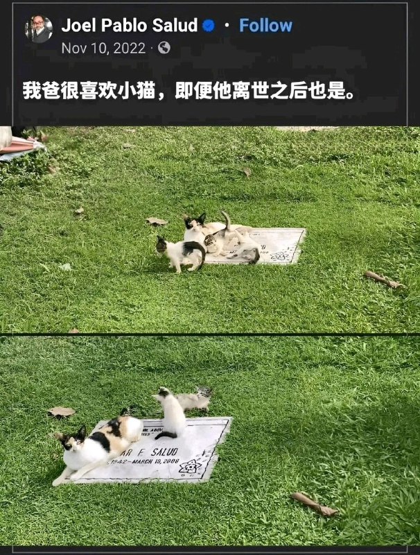 via 7号沙雕网友