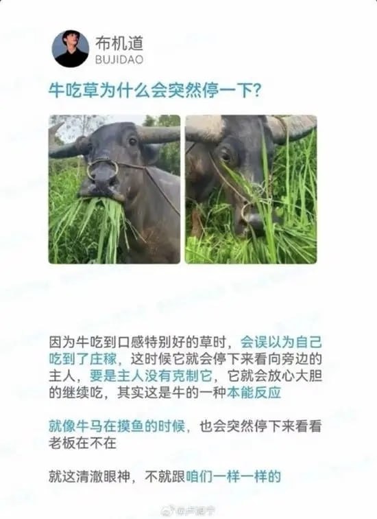 via 7号沙雕网友