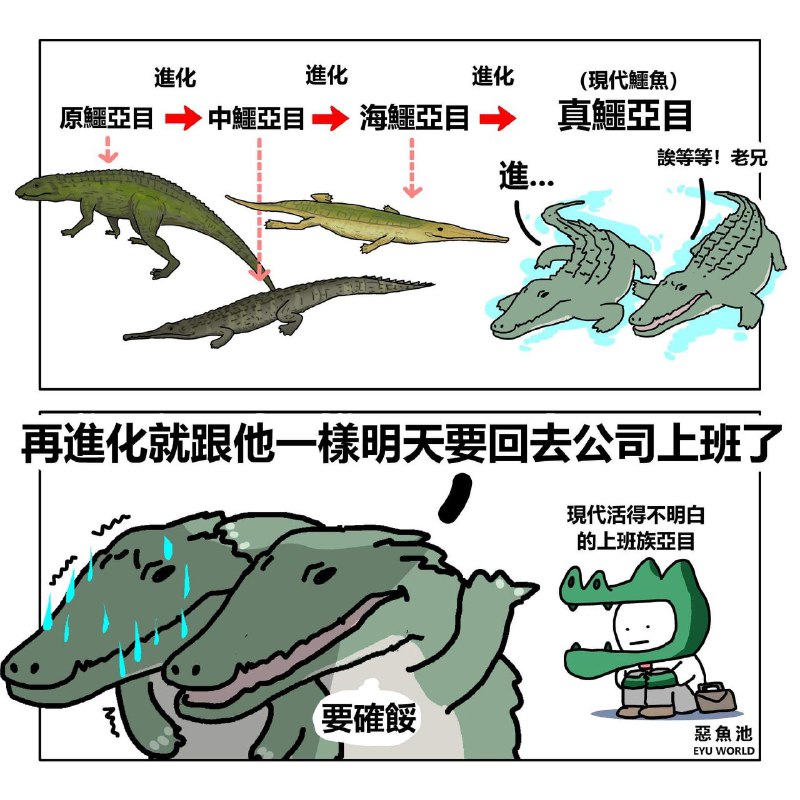 from 什麼都來點 via DECADE