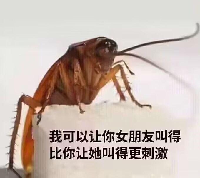 via XM1a0from 心惊报 via X