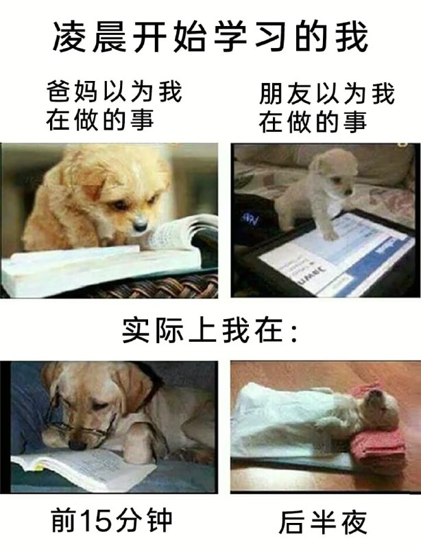 via 8号沙雕网友
