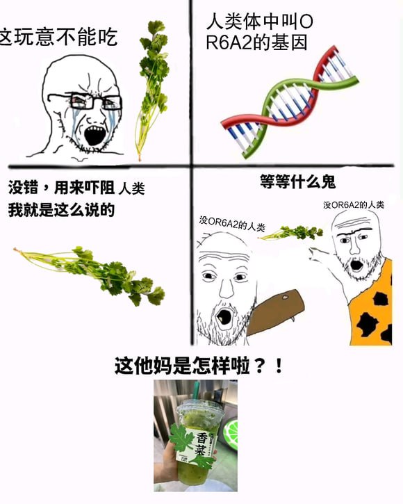 标题五个字还有这个类型的meme图吗？乐死我了标题五个字还有这个类型的meme图吗？乐死我了