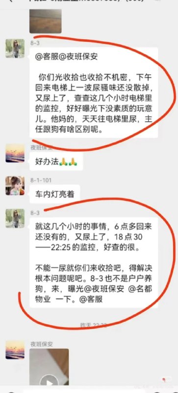 from 平壤卫视from 平壤卫视