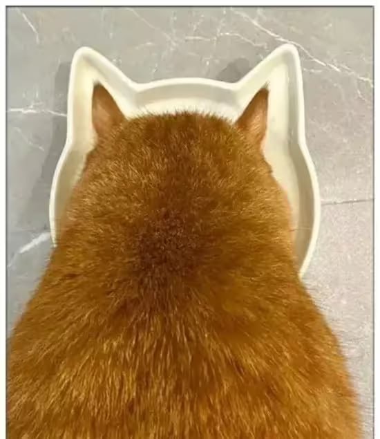 via 6号沙雕网友