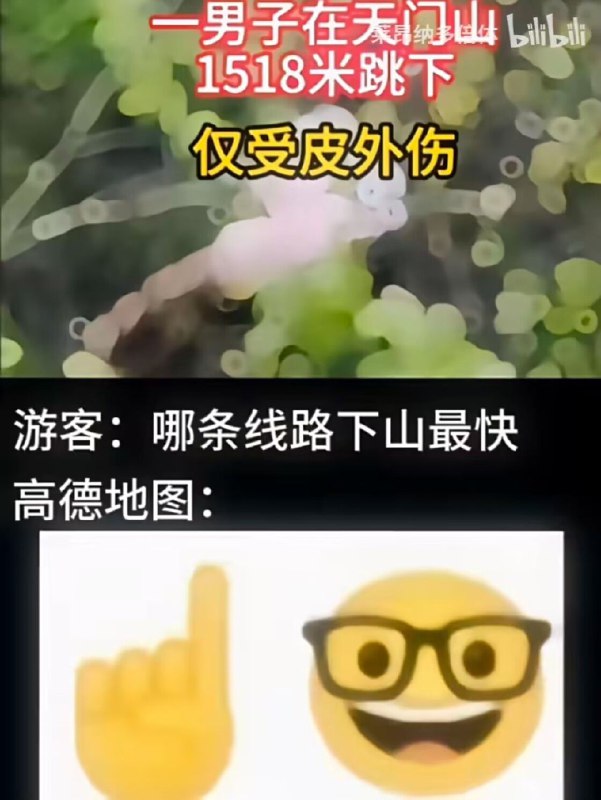 via Bingxin Baka