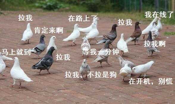 from 美图与沙雕
