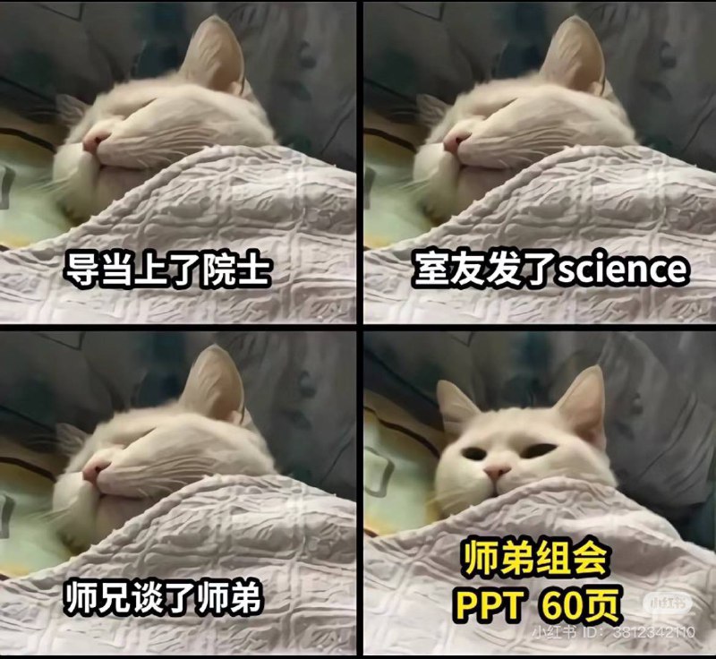 from Haruki Kirigaya