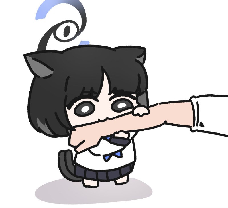 from 猫猫窝🐈🐈‍⬛from 猫猫窝🐈🐈‍⬛