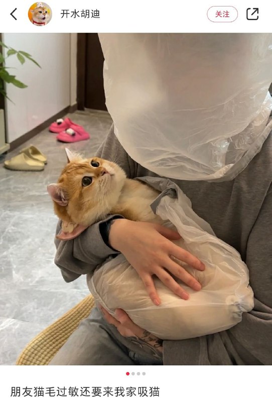 from Ghostfrom Ghost
