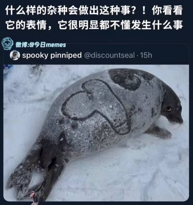 via 犯罪嫌疑人张某