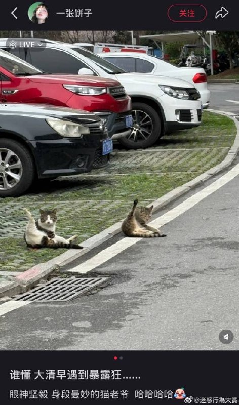 via 7号沙雕网友