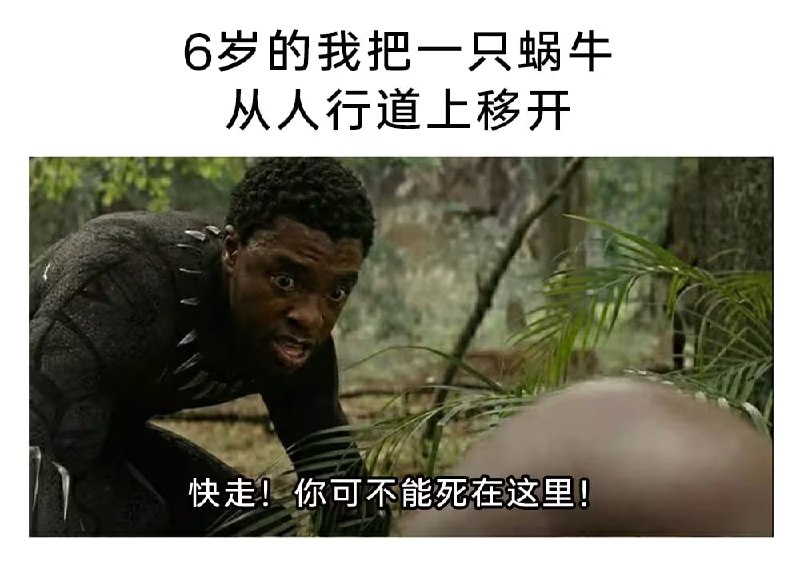 via 7号沙雕网友