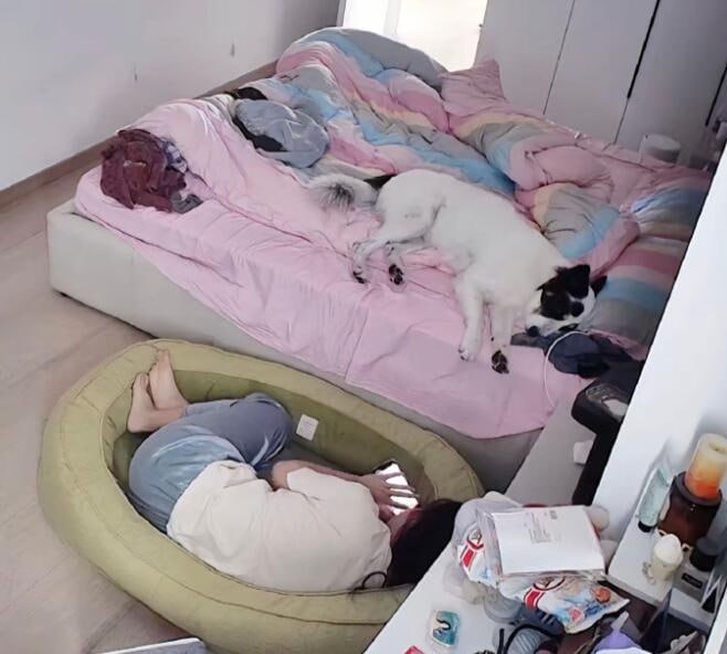 via 6号沙雕网友