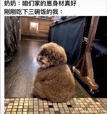 #去奶奶家总能有意外惊喜#人间真实#去奶奶家总能有意外惊喜#人间真实