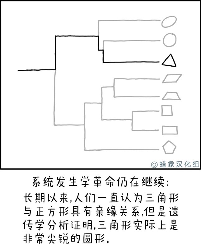 几何系统发生学via 无名氏