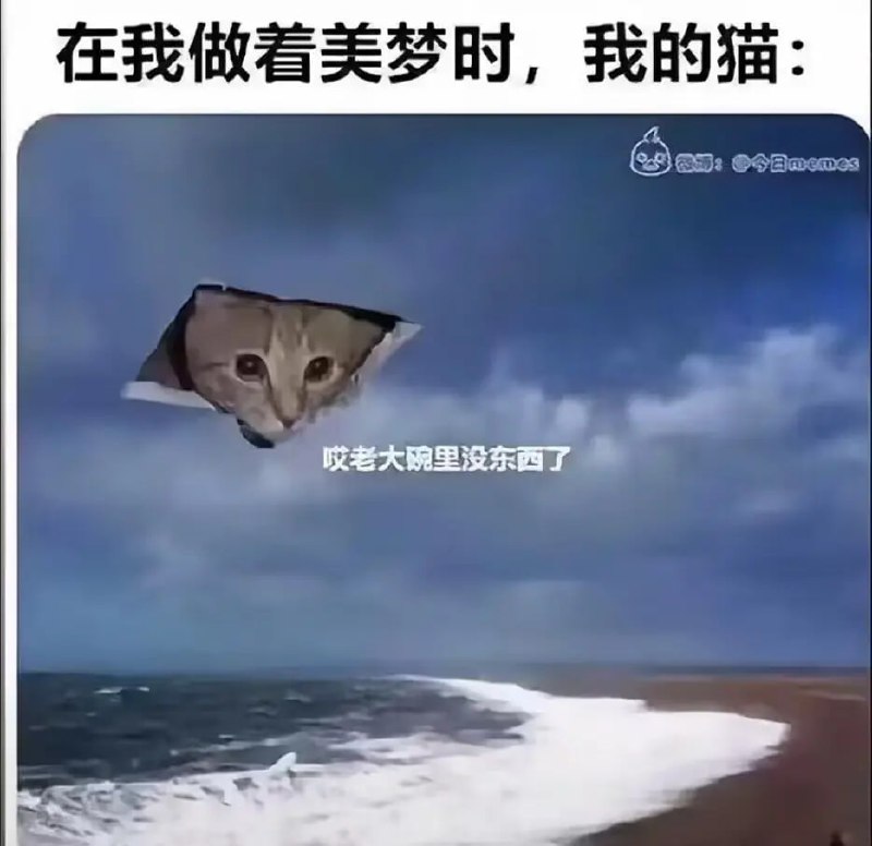 via 6号沙雕网友
