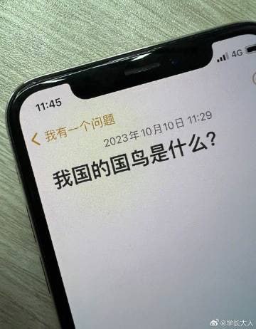 国鸟是什么鸟[傻眼]