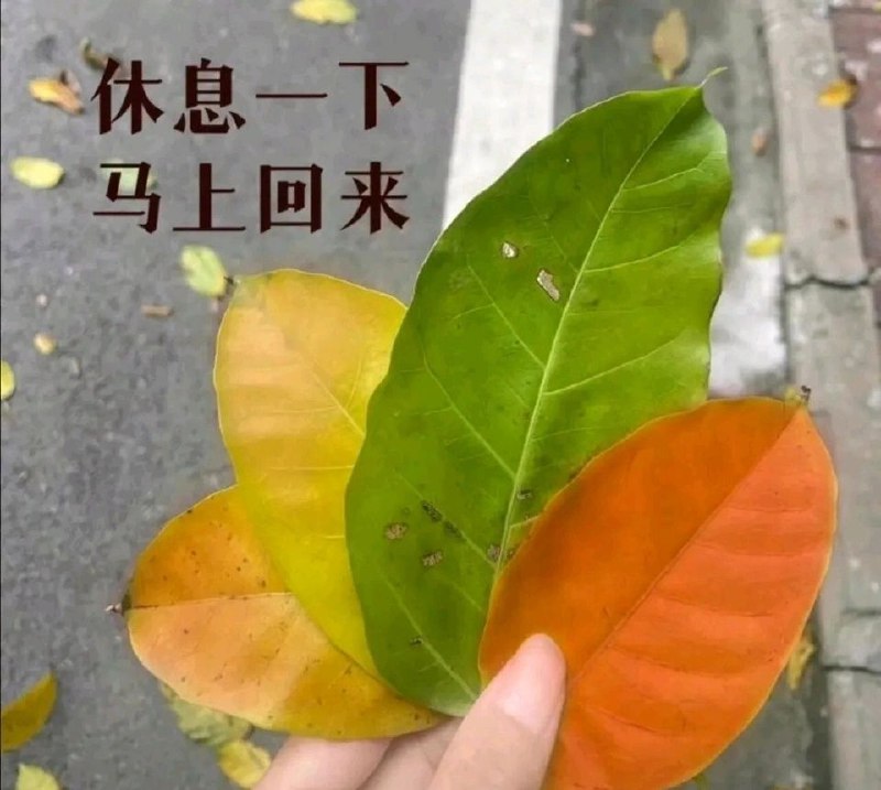 from 猫猫窝🐈🐈‍⬛