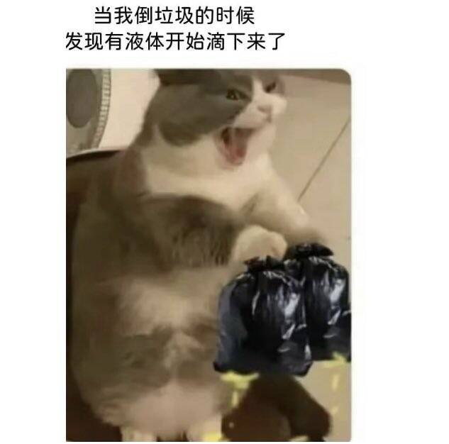 from ⚠️ 美图与沙雕 ⚠️｜频道可能会变质，但……