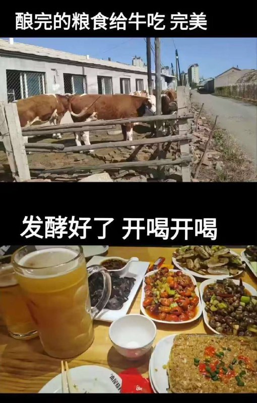 from 红 via 专业 物流from 红 via 专业 物流